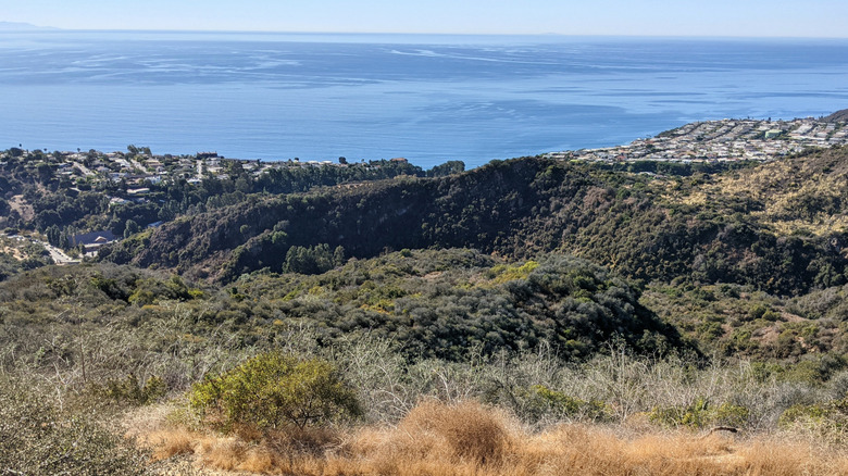 Hikers on Paseo Miramar Trail in Pacific Palisades