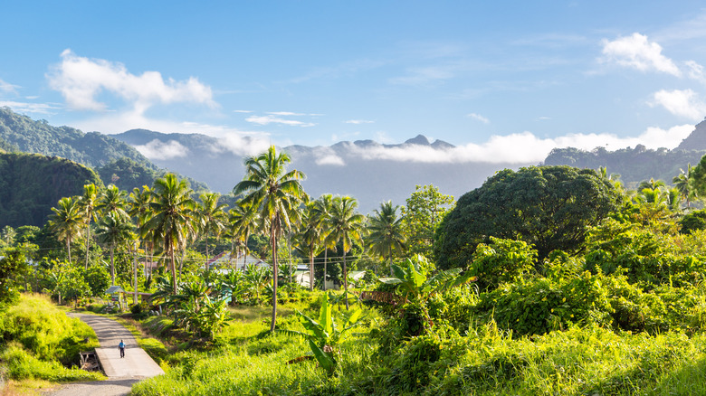 Ovalau mountain and palms