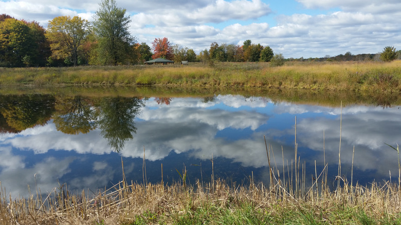 Clouds reflecting on a lake in the Geauga Park District