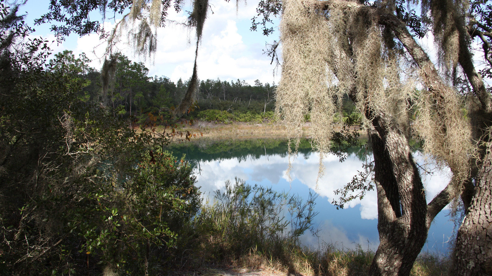 One Of The Most Underrated State Parks In America Is A Peaceful Florida Gem Just South Of Jacksonville