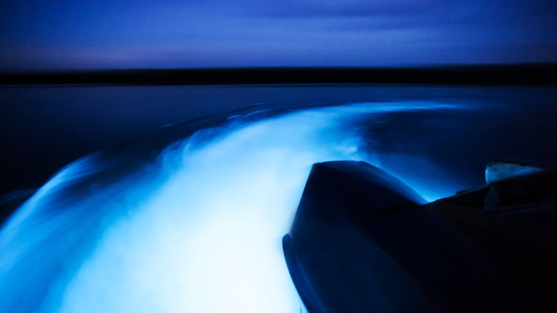 View of boat in the Luminous Lagoon