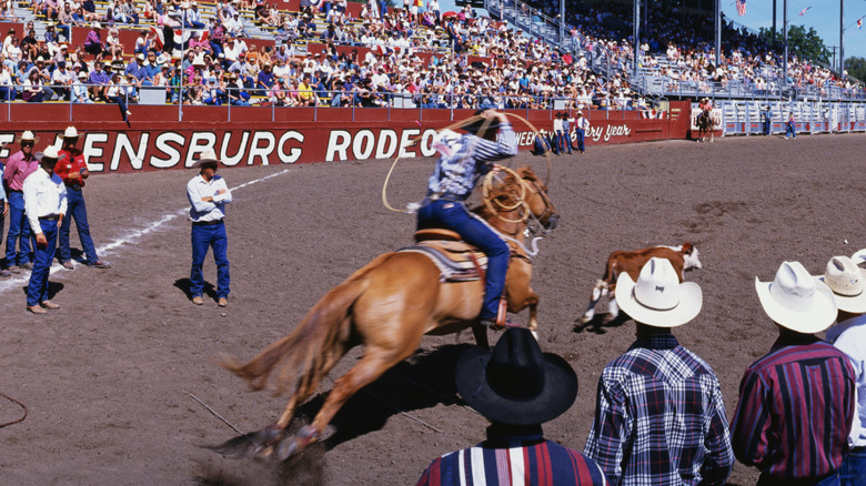 A man on a horse with a lasso