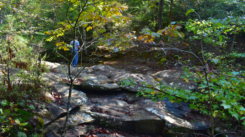A man hikes along the trail to Glory Hole Waterfall in the Ozarks.