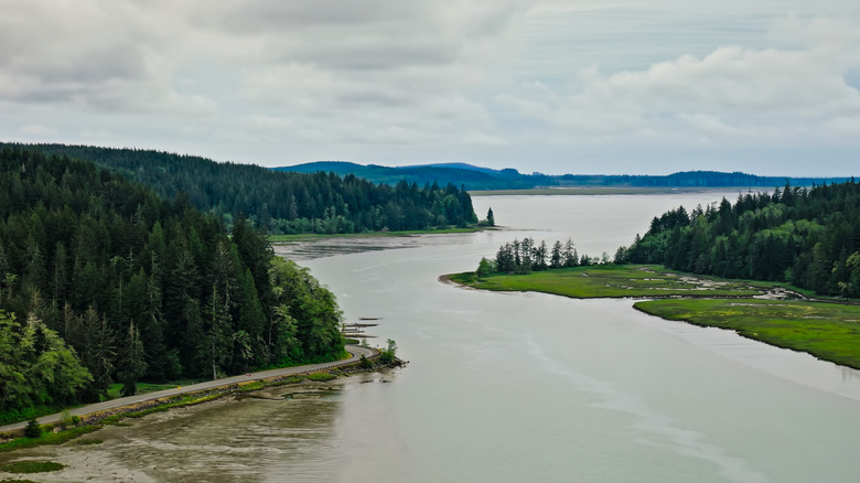 Forests roll down to shores of Willapa Bay, Washington