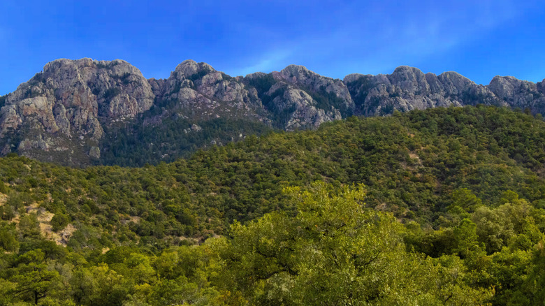 A spine mountins above Madera Caynon, Arizona