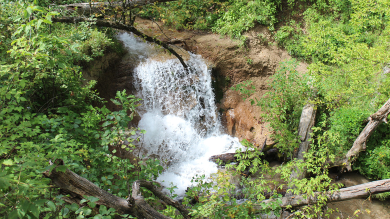 Small waterfall located near the larger Smith Falls