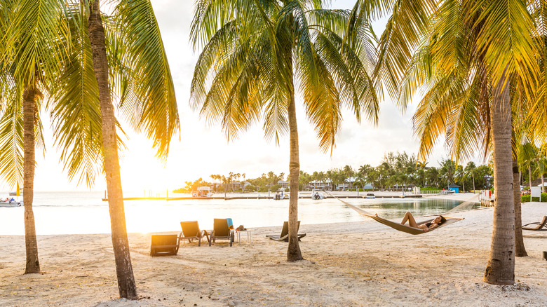 A woman relaxes on a hammock, Grand Cayman