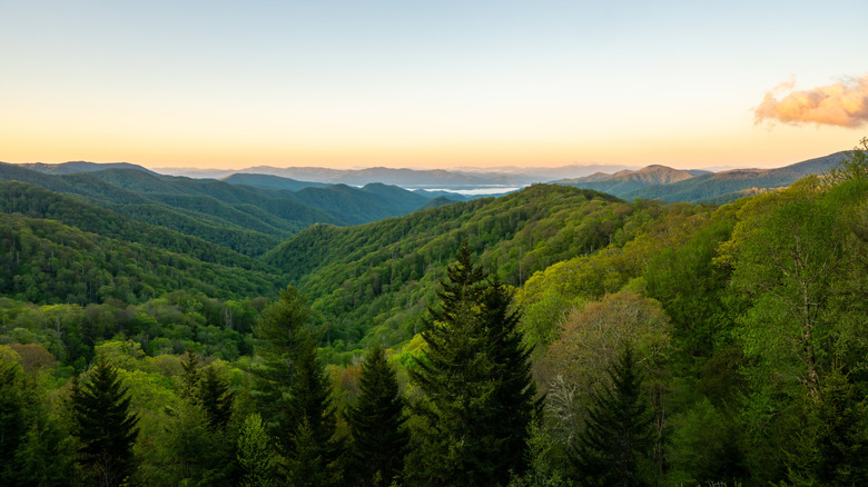View of the green Smoky Mountains
