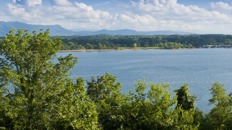 View of Douglas Lake with trees in front in Smoky Mountains