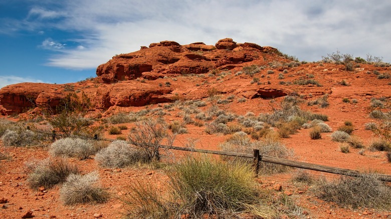 Red rock formations at Pioneer Park in St. George