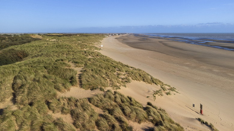 Sand dunes and beach at coast, Chamber Sands, England