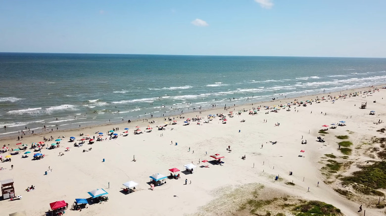 Wide beach with umbrellas