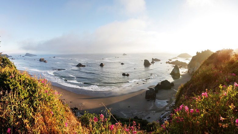 One Of The US Best Beaches Is A Pacific Northwest Paradise Boasting One Of The US Best Beaches Is A Pacific Northwest Paradise Boasting