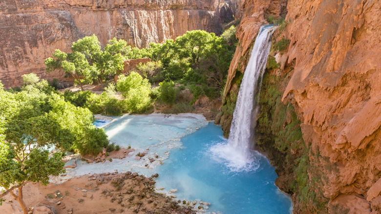 Havasu Falls grand canyon