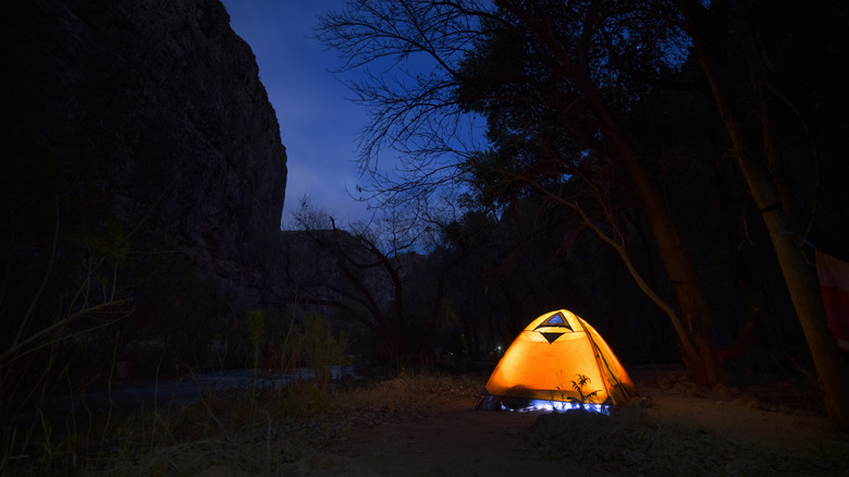 campsite near havasu falls