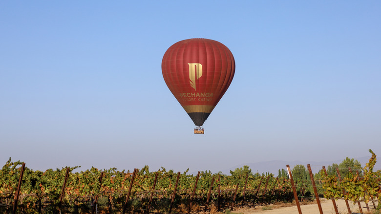 A Pechanga hot air balloon over a vineyard