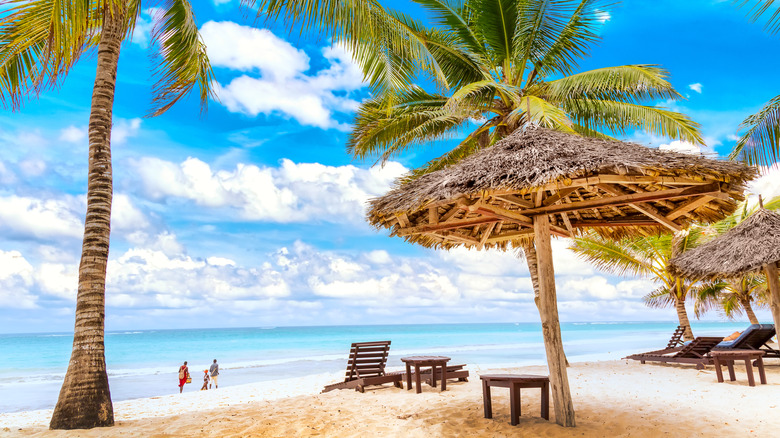 Sun loungers, umbrellas, and palms on Diani Beach, Kenya, Africa