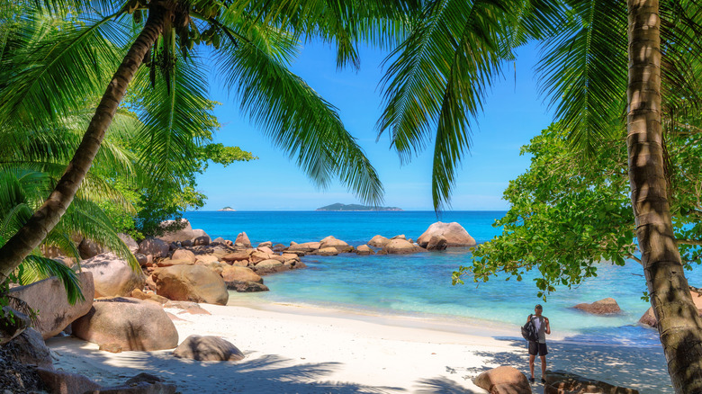 A man standing on Anse Georgette beach during midday
