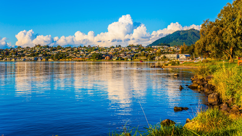 A scenic view of Lake Taupo, New Zealand