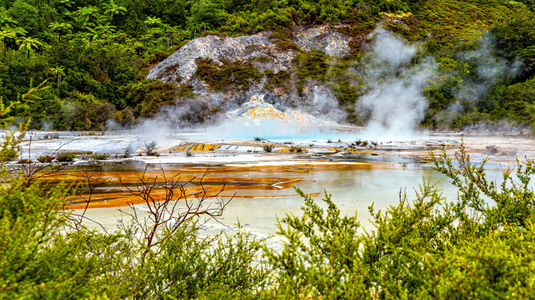 Orakei Korako Cave & Thermal Park, New Zealand