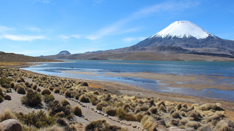 Pristine blue Lake Chungará in front of volcano