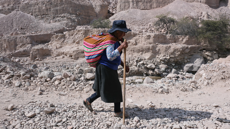 Aymara person on pilgrimage from Arica, Chile