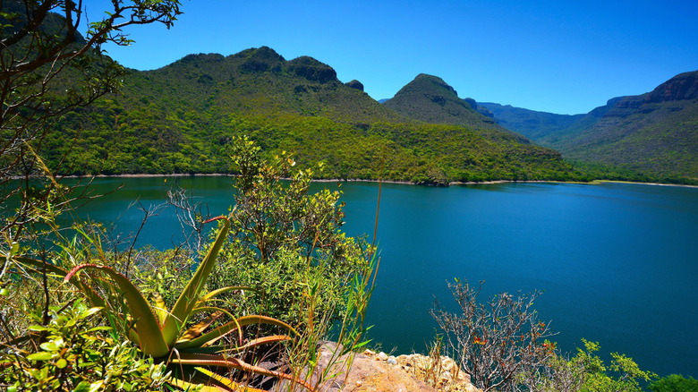 A view of the Blyde River Dam with hills and forests