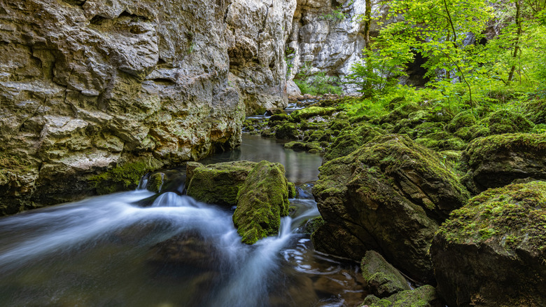 River running through the Škocjan gorge, Slovenia