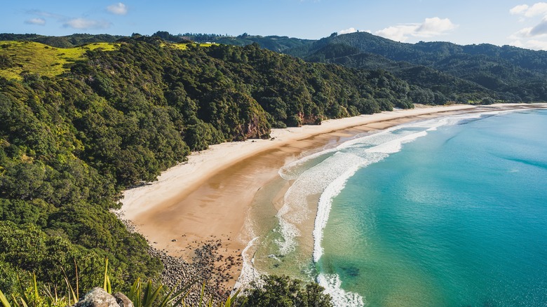 Curved stretch of mountainous beach