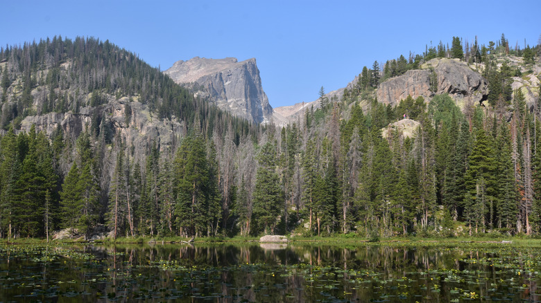 alpine lake next to forest with views of rugged peak