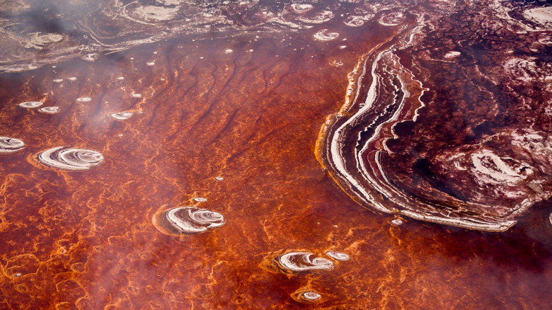 View of the crimson waters of Lake Natron