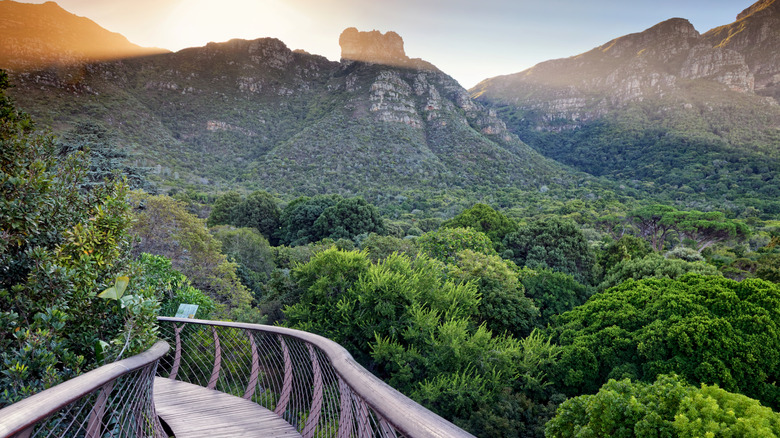 Mountains at sunset South Africa