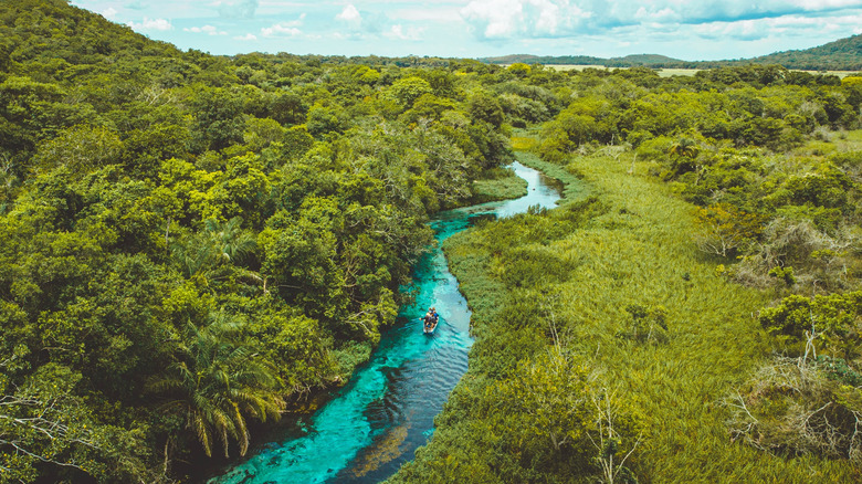 The turquoise, clear Suruci River winding through the forest in Bonito, Brazil