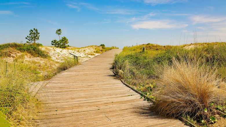 A wooden boardwalk leading to the Dauphin Island Pier and Pelican Peninsula