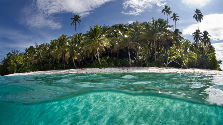 Clear waters beneath the islands at Raja Ampat, Indonesia