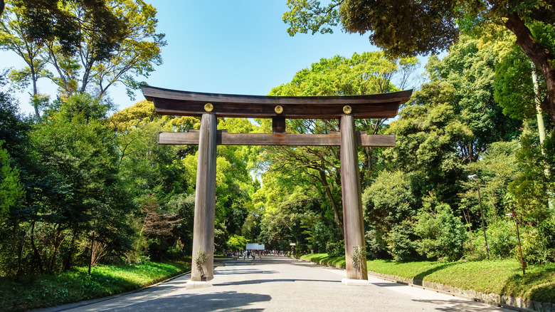 Torii gate in Yoyogi Park, Tokyo
