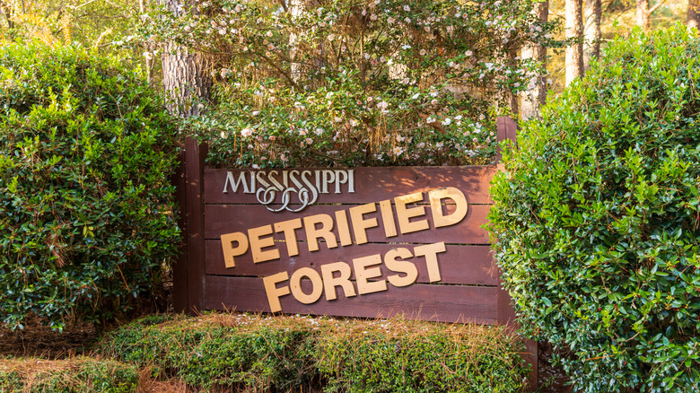 Sign for Mississippi's petrified forest