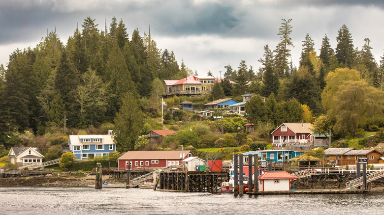 Quaint wooden houses on Bamfield's coast surrounded by greenery in British Columbia, Canada