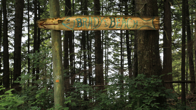A sign pointing to Brady's Beach in the forest surrounding Bamfield in British Columbia, Canada