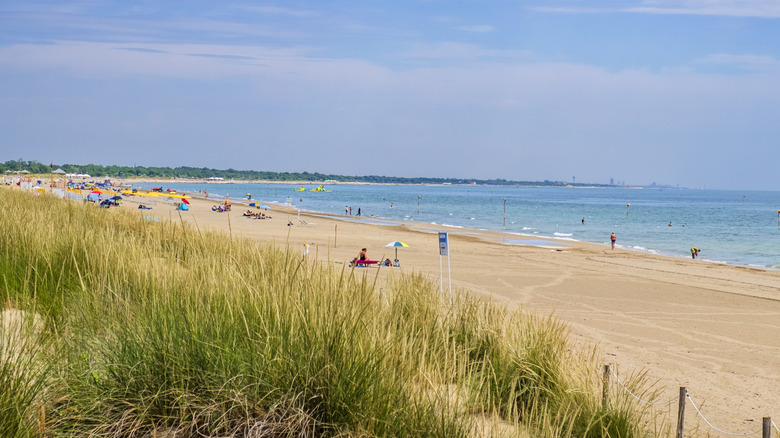 Punta Sabbioni beach in Cavallino, neighboring Sant'Erasmo