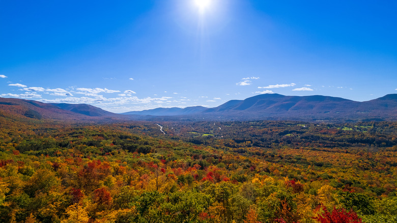 View of natural landscapes in Manchester in Vermont