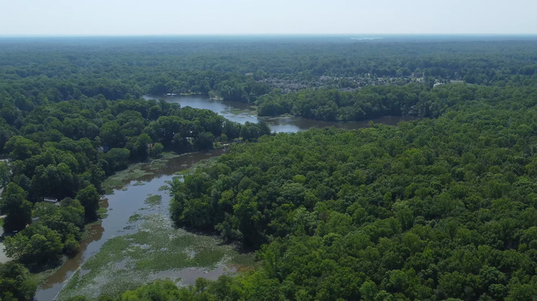 Aerial view of trees and a waterway in Rockwood Park, VA