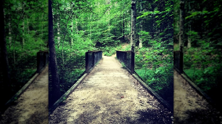 Hiking trail in Rockwood Park