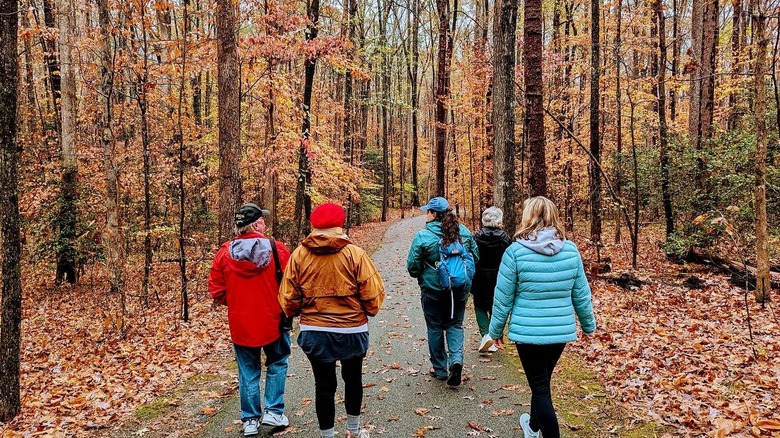 Hikers walking through Rockwood Park