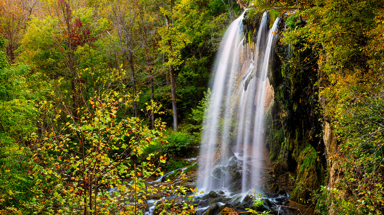 View of Falling Spring Waterfall and green yellow forest trees in rural countryside autumn in Covington, Virginia