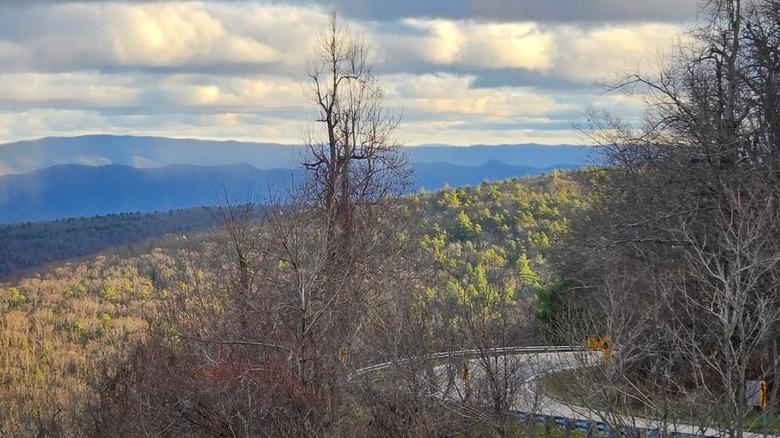 Winding road surrounded by trees and the silhouette of Shenandoah Mountain in the distance