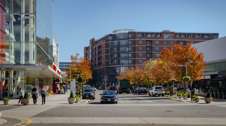 Urban street scene with autumn foliage and a brick building in the background, Vienna