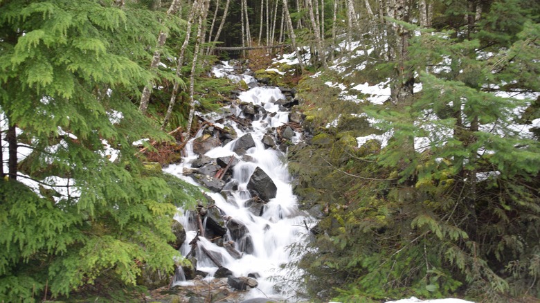 Water flowing over rocks near Snoqualmie Pass, Washington, close to Goldmyer Hot Springs