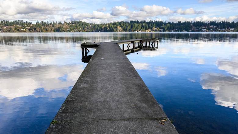 Luther Burbank Park on Mercer Island, WA