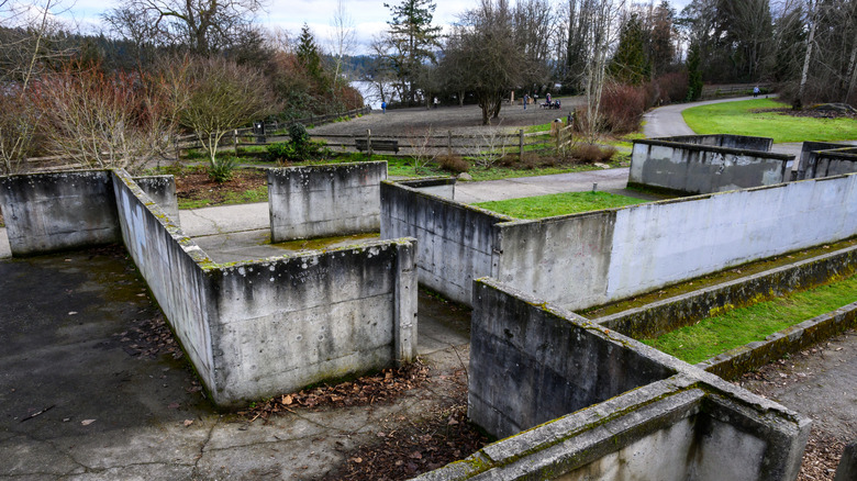 Dairy barn ruines at Luther Burbank Park on Mercer Island, WA